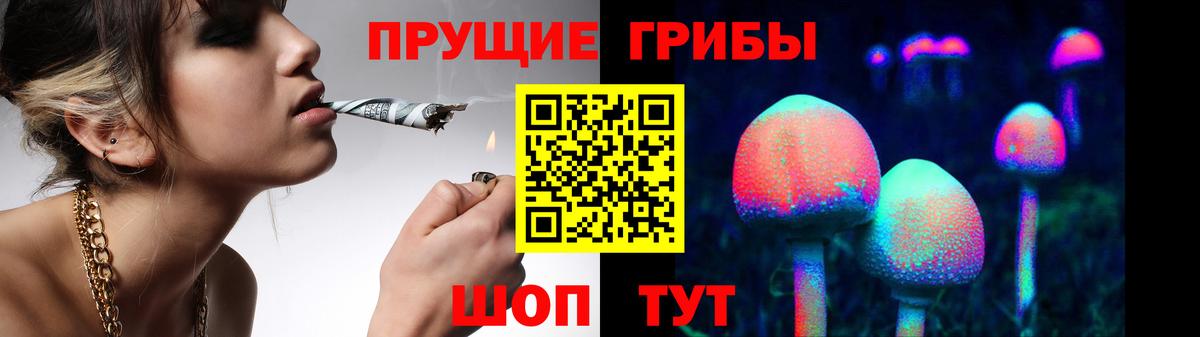 Псилоцибиновые грибы Psilocybe  Вход с VPN  Галлюциногенные грибы Psilocybine cubensis  Мыски 